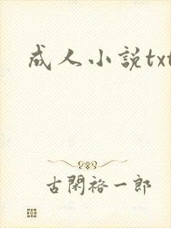 成人小说txt封面