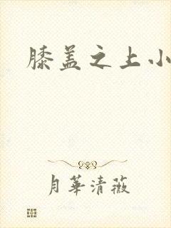 膝盖之上小说