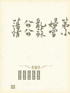 荡公乱妇第1章情公苏雪小说