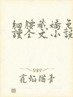 细腰藏娇免费阅读全文小说苏珞浅