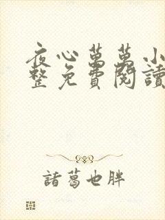 夜心万万小说完整免费阅读全文