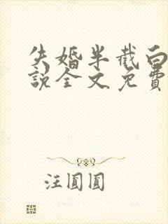 失婚半截白菜小说全文免费阅读封面