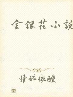 金银花小说乐可封面