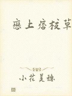 恋上痞校草