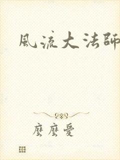 风流大法师封面