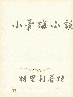小青梅小说