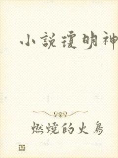 小说琼明神女录