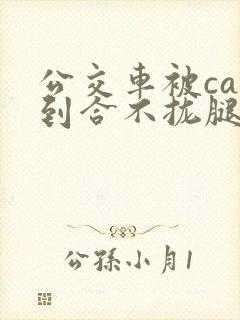 公交车被cao到合不拢腿视频封面