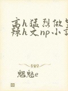 高h猛烈做哭高辣h文np小说