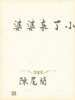 婆婆来了小说封面