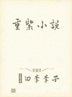 重紫小说封面