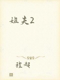 姐夫2封面