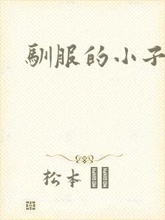 驯服的小子4