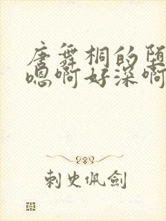 唐舞桐的堕落H嗯啊好深啊封面