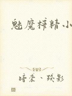 魅魔榨精小说