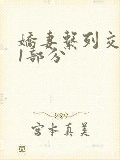 娇妻系列交换11部分