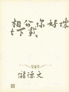 相公你好坏txt下载封面