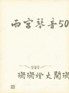 雨宫琴音500