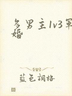 多男主1v3军婚
