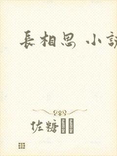 长相思 小说