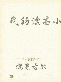 我的漂亮小后妈