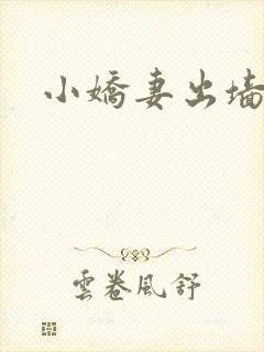 小娇妻出墙记