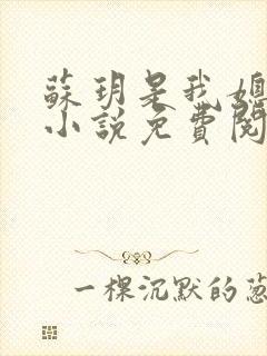苏玥是我媳妇的小说免费阅读全文