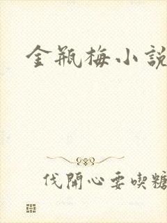 金瓶梅小说