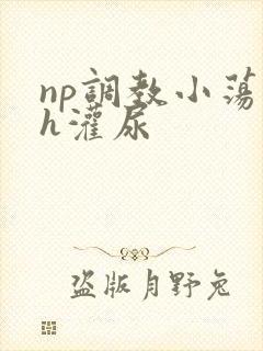 np调教小荡货h灌尿