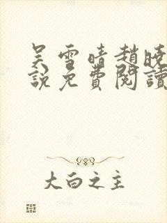 吴雪晴赵晓东小说免费阅读