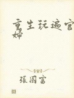 重生玩遍官场贵妇