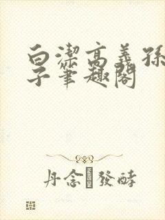 白洁高义孙倩东子笔趣阁封面