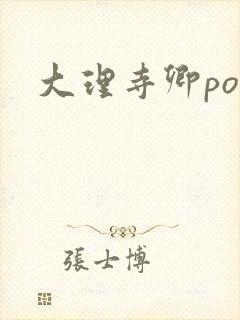 大理寺卿po封面