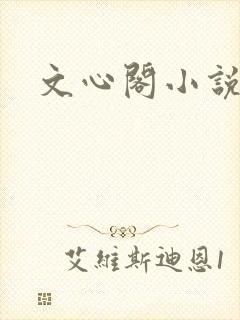 文心阁小说封面