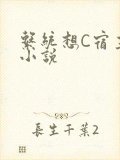 系统想C宿主的小说