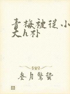青梅被从小摸到大h补封面