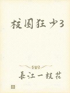 校园狂少3