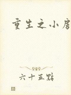 重生之小房东