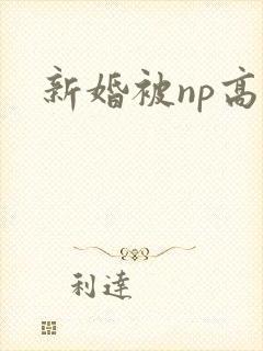 新婚被np高h