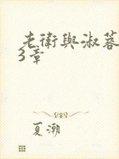 老卫与淑蓉第13章封面