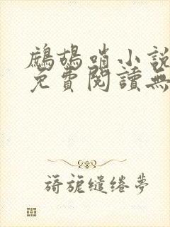 鹧鸪哨小说网站免费阅读无弹窗