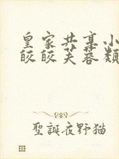 皇家共享小公主皎皎芙蓉类小说