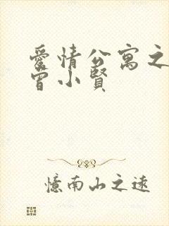 爱情公寓之极品曾小贤