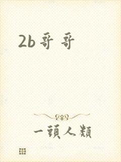 2b哥哥