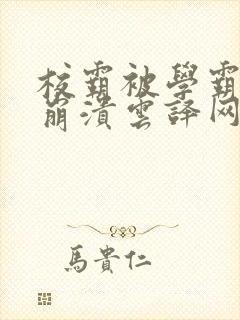 校霸被学霸玩到崩溃云译网封面