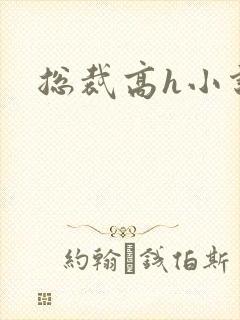 总裁高h小说