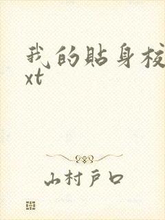 我的贴身校花txt