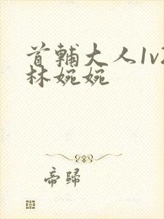首辅大人1v2林婉婉封面