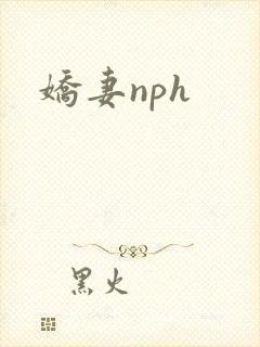 娇妻nph