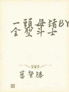 一头母猪BY黄金圣斗士封面